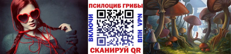 Галлюциногенные грибы GOLDEN TEACHER  это официальный сайт  Мосальск 